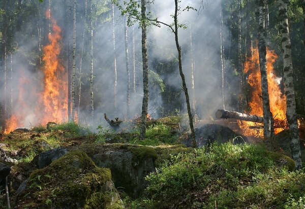 incendios_rurais