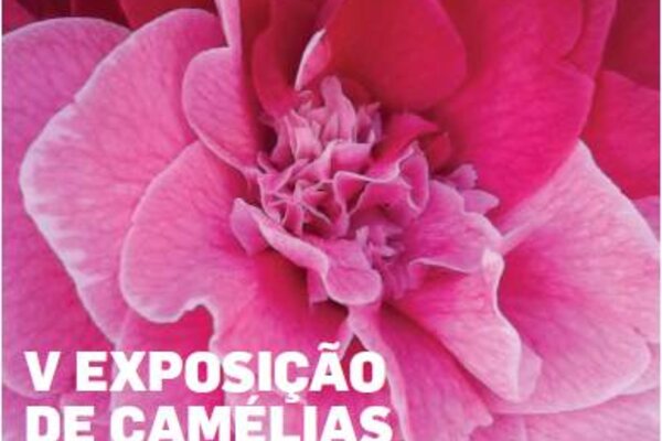 Exposi__o_Cam_lias