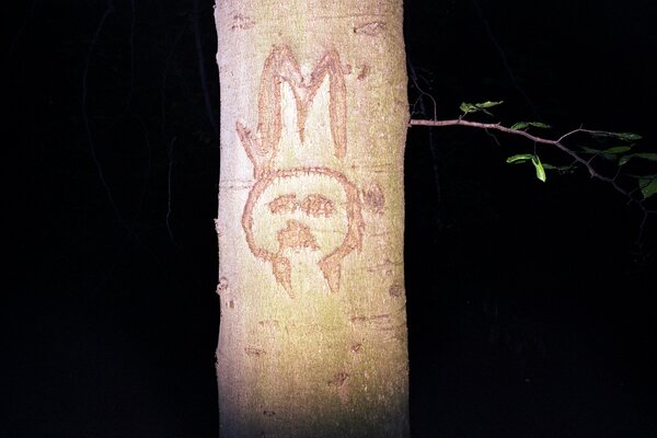 Laborat_rio_das_Artes_Andr__Sousa__Rock_Creek_Park__2011