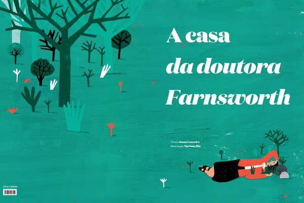 a_construa__o_da_casa_da_doutora_farnsworth