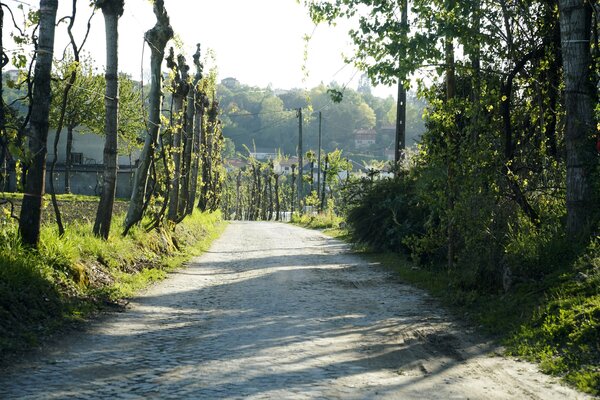 caminhos_em_volta_s_o_torcato