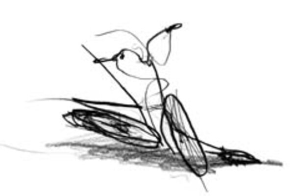 Untitled-1