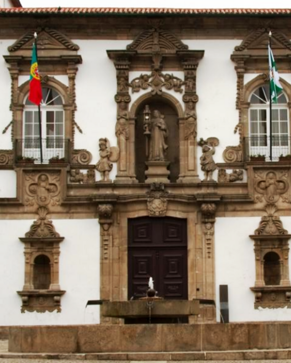 camaraguimaraes