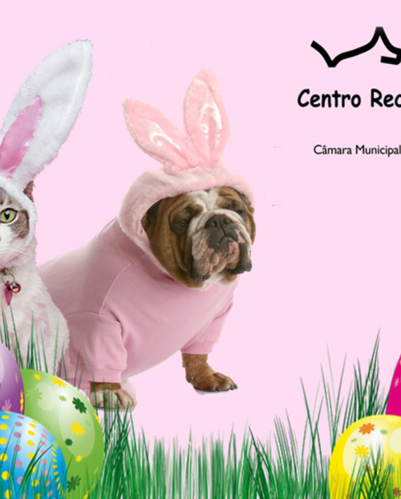 Campanha_Animais