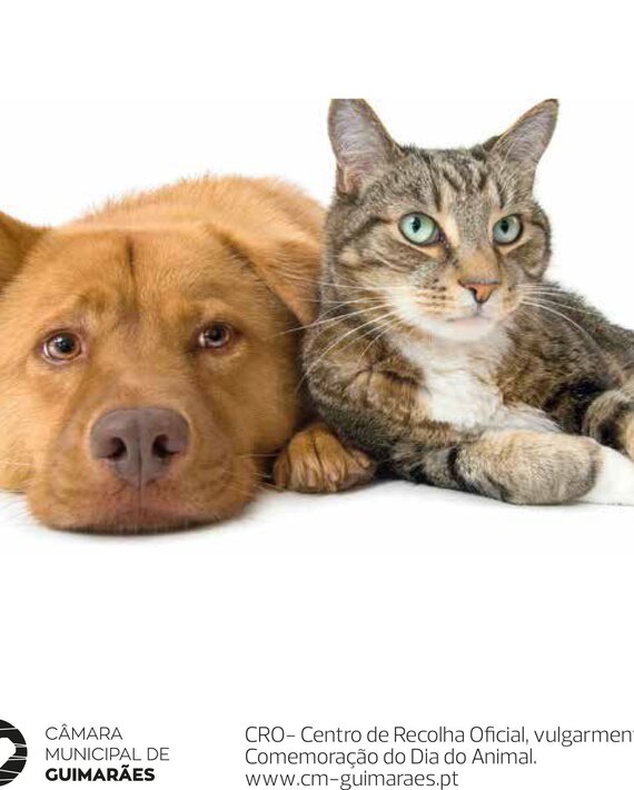 animal_-_C_pia