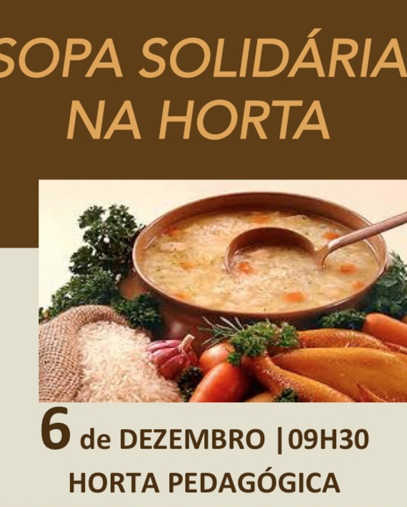 Sopa_Solida_ria_HP
