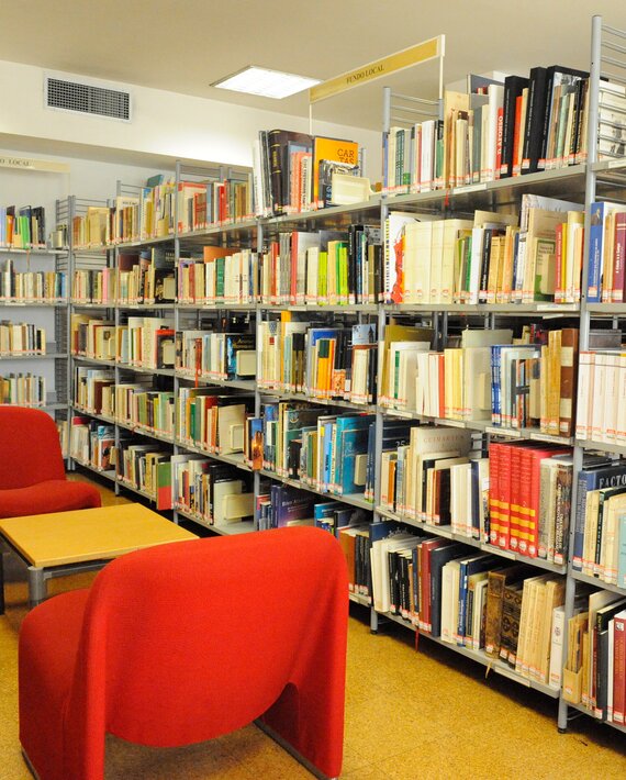 biblioteca_4852