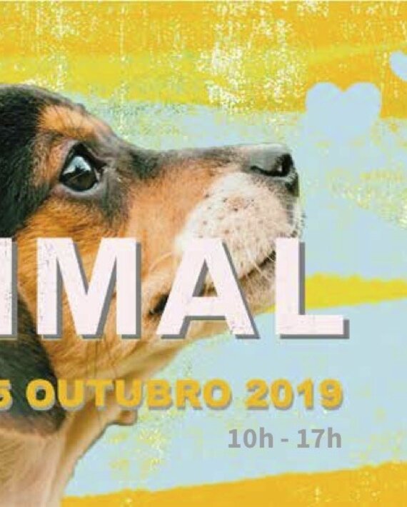 dia_do_animal