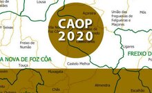 caop_2020