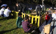brigada_verde_prazins_sto_tirso22_046