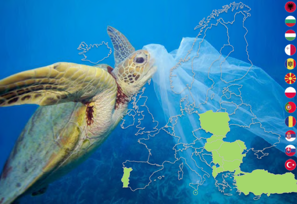 capa_joint_report_plastic_waste___wgea___2022