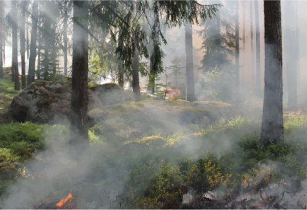 unnamed_770x439_c