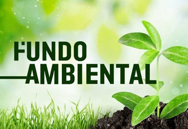 fundo_ambiental_770x439_c