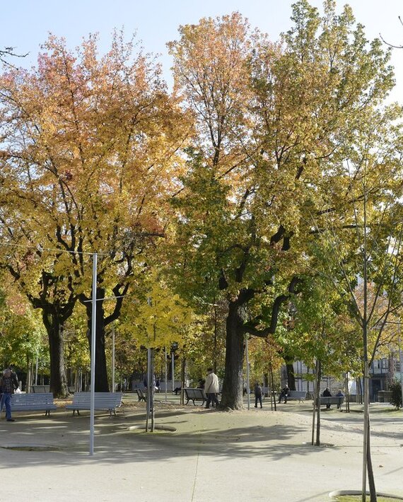 alameda_s_damaso