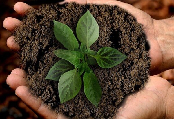 sustentabilidade