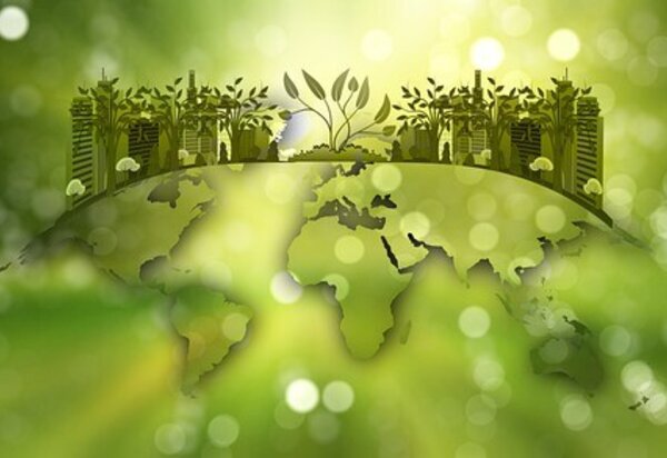 nature_reserve_g5a3d025cd_640