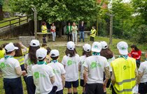 brigada_verde_pevidem23_1