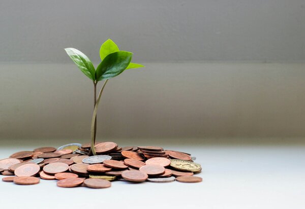 orcamento_fundo_ambiental