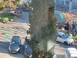 file_from_app_1374
