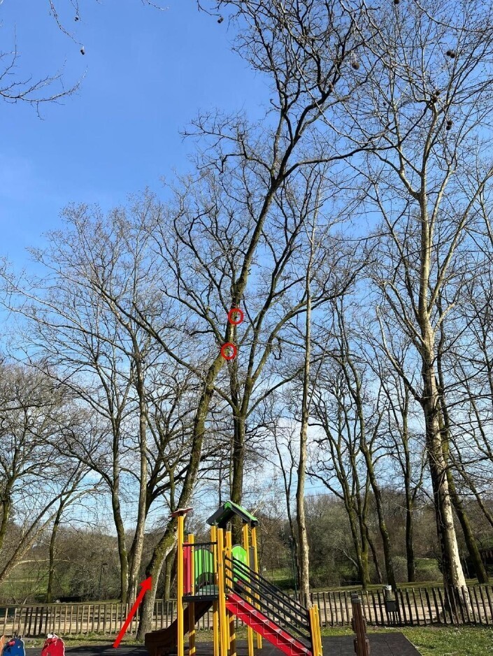 nigaufac001126_parque_das_taipas_assinado