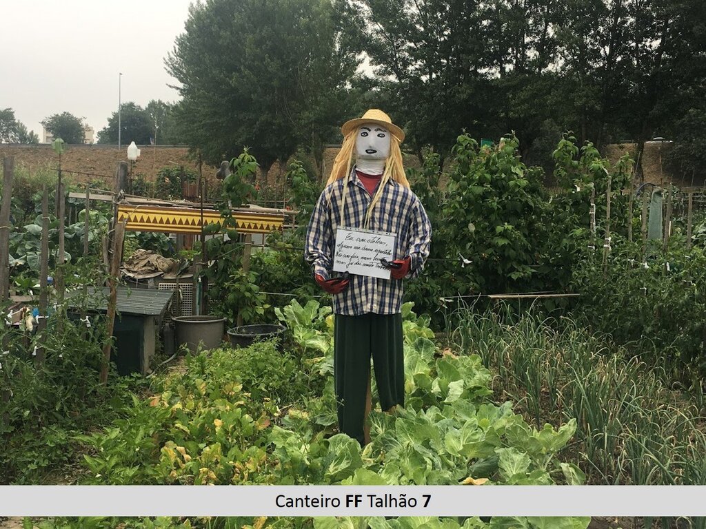 ff_7