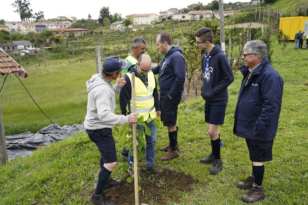 brigada_verde_calvos19c03381