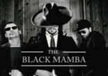 The Black Mamba