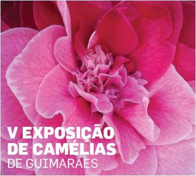 V EXPOSIÇÃO DE CAMÉLIAS DE GUIMARÃES