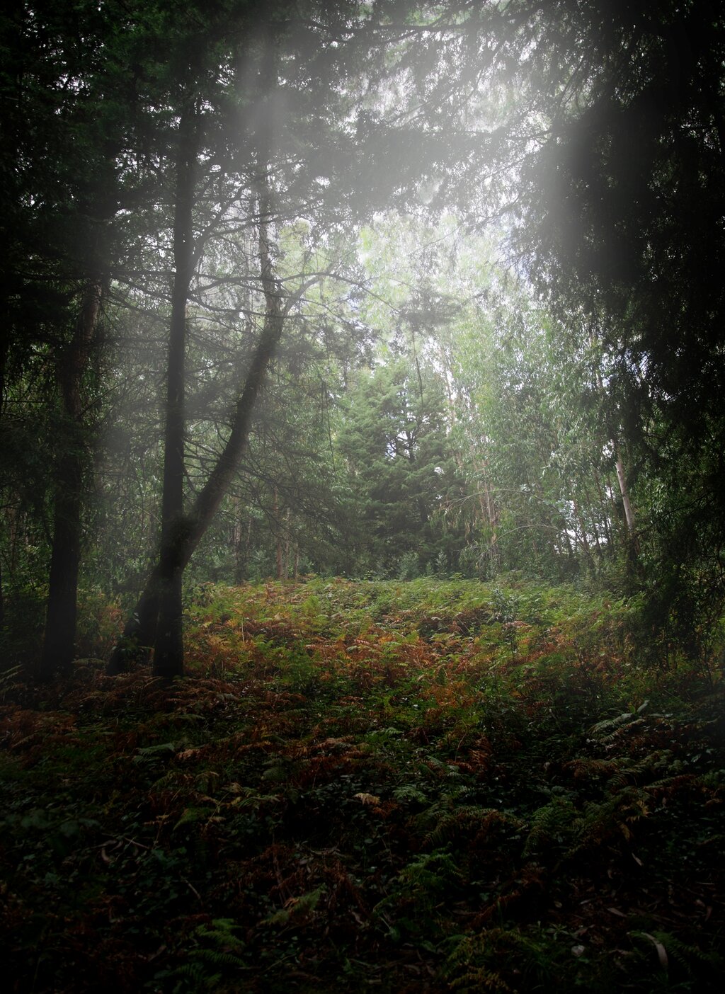 Lembras-te quando me fiz nevoeiro...