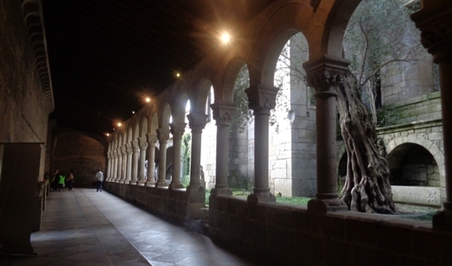 Museu à Noite: Specularis
