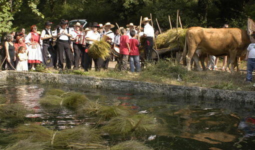 Festa do Linhal