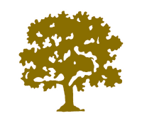 Castanheiro-da-índia