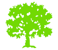 Castanheiro