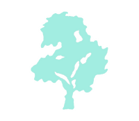 Sabugueiro