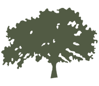 Oliveira 