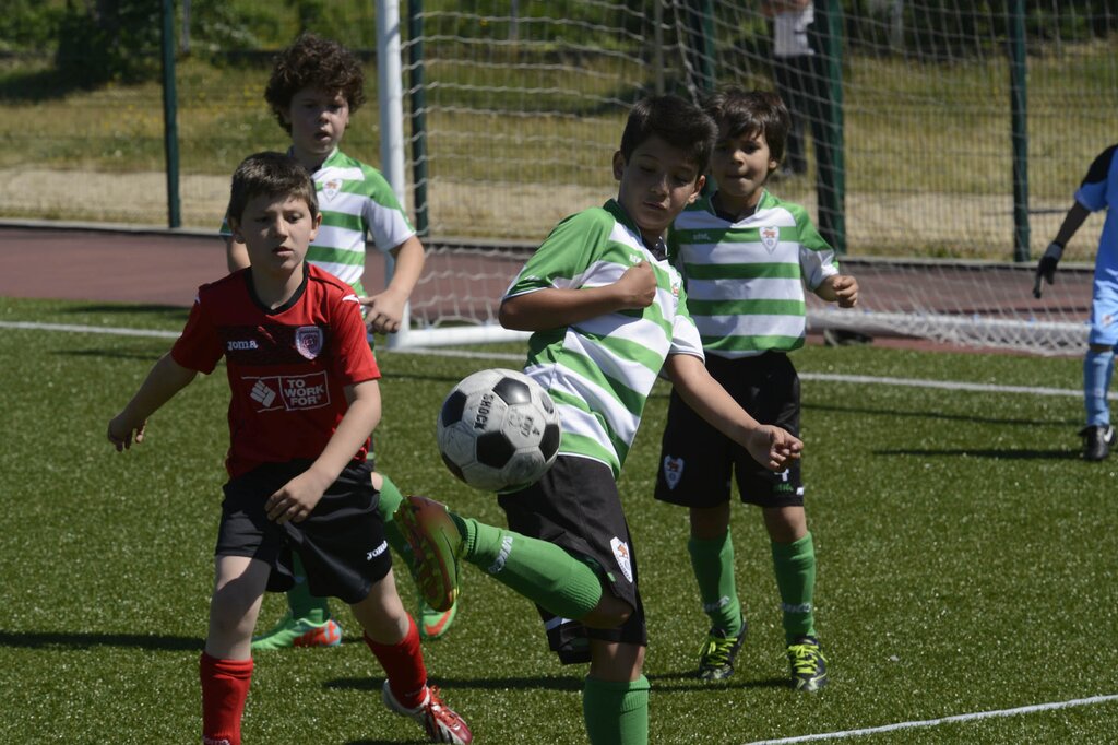 Estádio D. Afonso Henriques recebe este domingo a final da Liga Mini