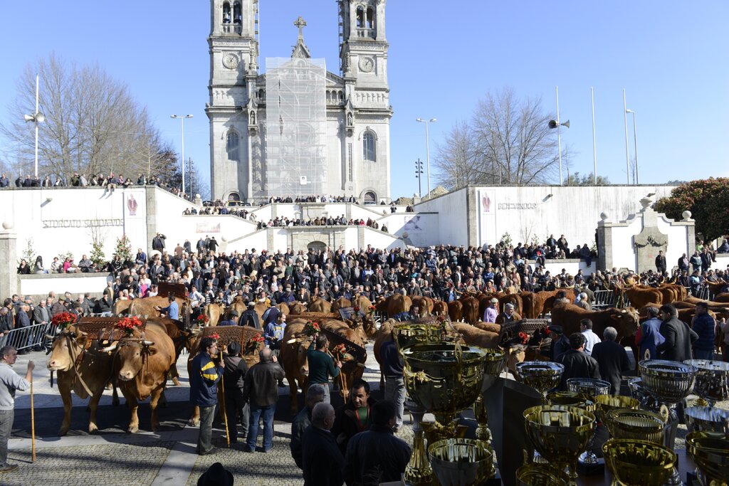 Tradição secular da “Feira dos 27” assinalou esta sexta-feira Dia de São Torcato