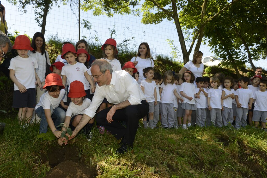 Projeto “Guimarães Mais Floresta” iniciou plantação de 15 mil árvores até março de 2017