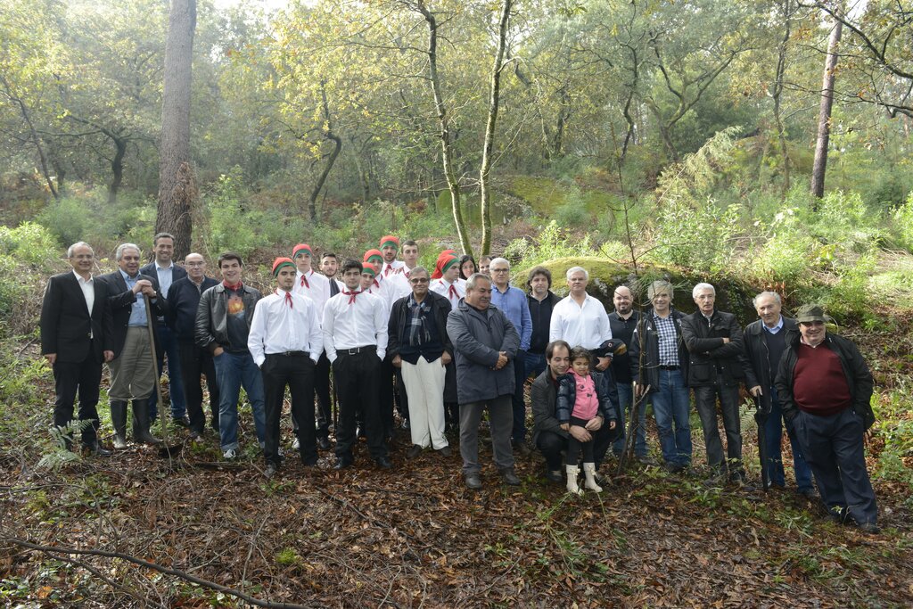 Reflorestação de monte preserva natureza e tradição do Pinheiro nas Festas Nicolinas