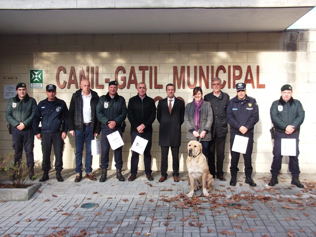 Câmara de Guimarães entrega leitores para identificar animais perdidos ou abandonados