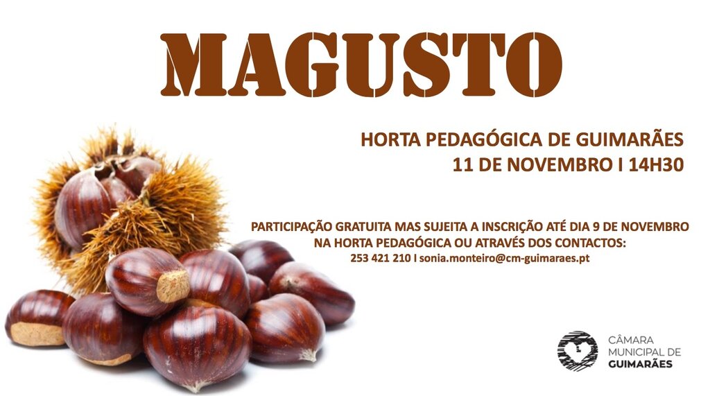 Horta Pedagógica de Guimarães comemora dia de São Martinho com Magusto