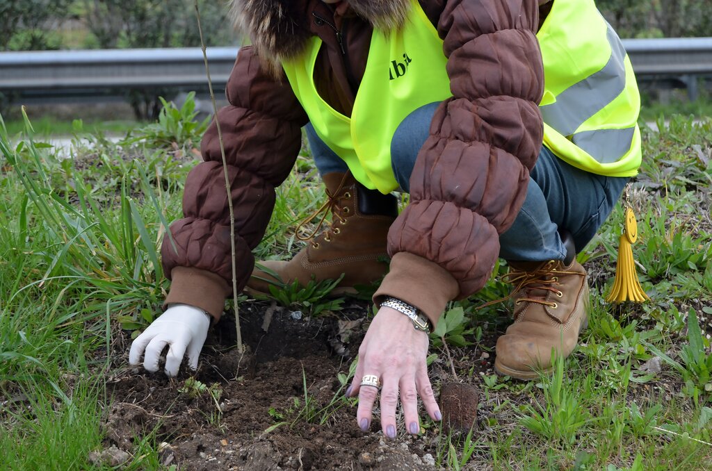 “Guimarães mais Floresta” assinala Dia Mundial da Árvore com plantação de árvores