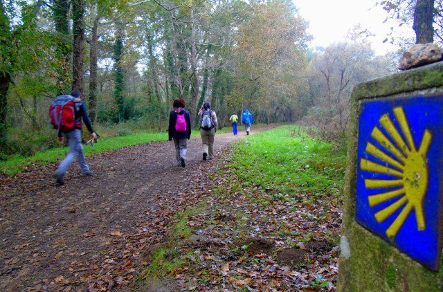 Junta de Freguesia de Pencelo organiza caminhada numa das etapas do caminho Português de Santiago