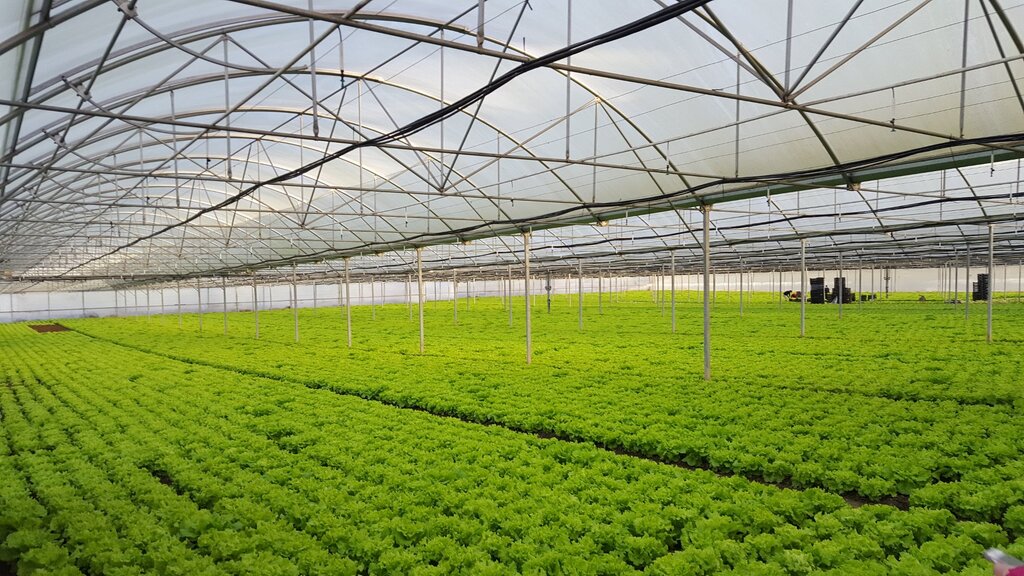 IBR de Guimarães tem sido importante para a nova agricultura do século XXI