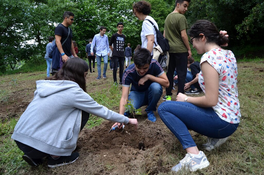 Município, Brigadas Verdes e Juntas de Freguesia em ação de plantação de árvores
