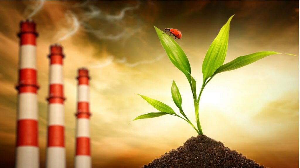Regime Jurídico de Avaliação de Impacte Ambiental (AIA)