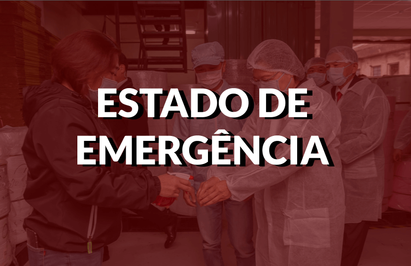 PANDEMIA COVID 19 – ESTADO DE EMERGÊNCIA - SUSPENSÃO DE PRAZOS