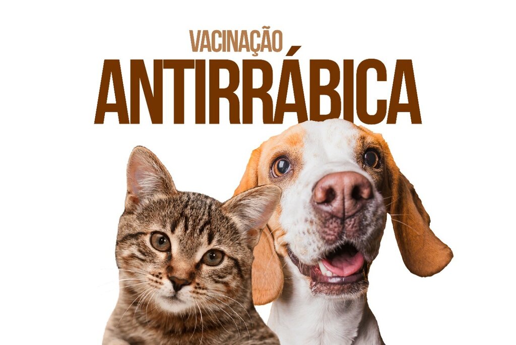 Programa Nacional de Luta e Vigilância Epidemiológica da Raiva Animal e Outras Zoonoses