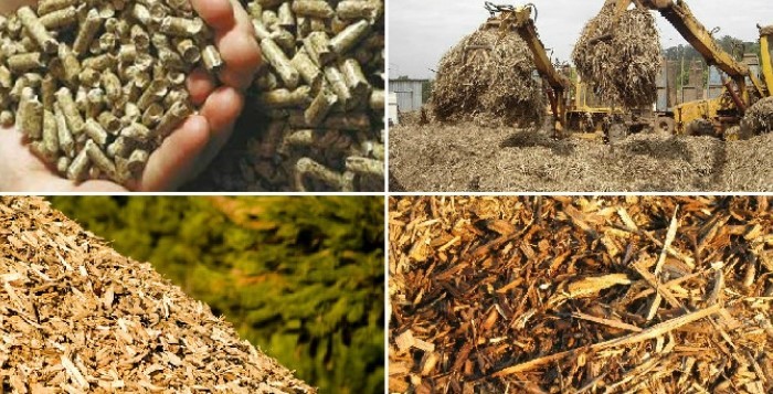 Exploração de centrais a biomassa