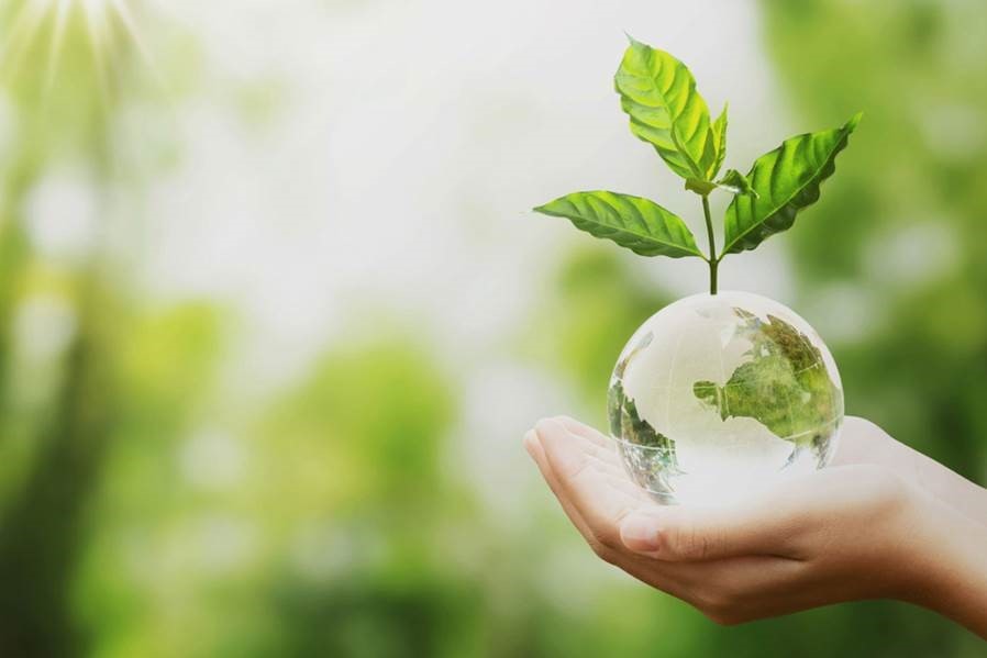 Lei de Bases do Clima